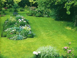 садовый газон